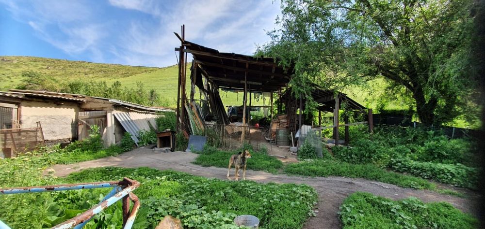 Срочно продам дом!