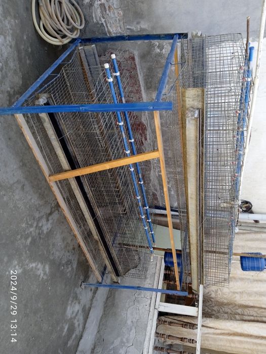 96тали Товуқ ферма сотилади