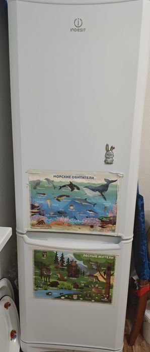 Холодильник двухкамерный