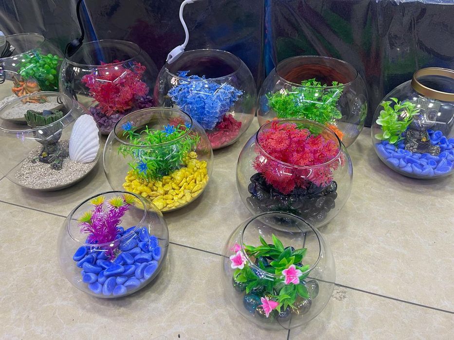 Akvarium Dumaloq New