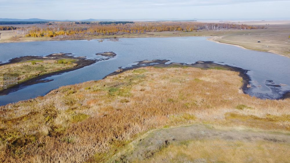 Рыболовное хозяйство