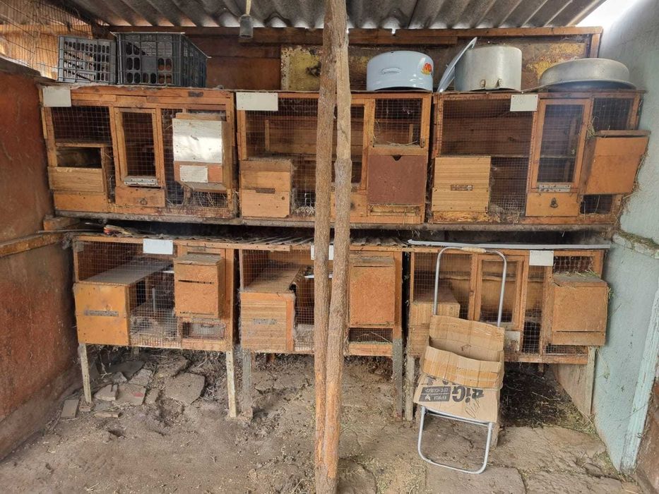 Клетки для кроликов, продам.