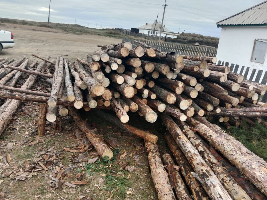 Продам жерди - сыргаул хорошие в наличие