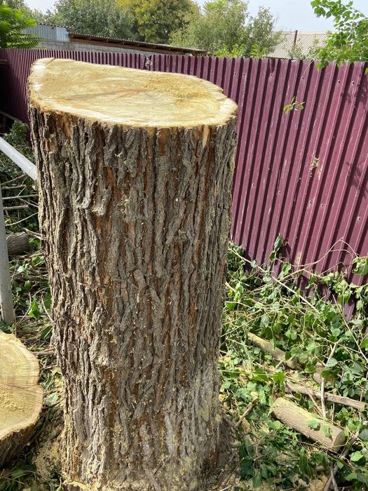 Бревно для рубки мяса Тутовник