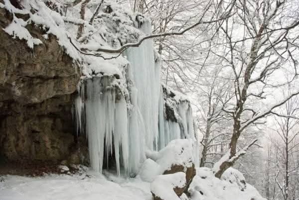 Продава се Парцел в с. Рибарица, Област София-област - 1015 кв.м за 18 €/кв.м - Снимка #13