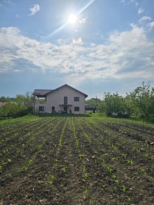 Casă de vanzare, detalii in privat
