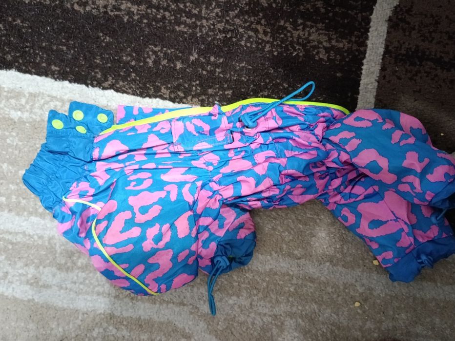 Одежда для собак