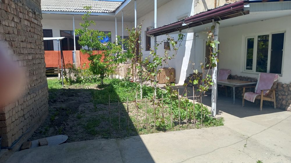 Qibray tumani Dormonda uy sotiladi