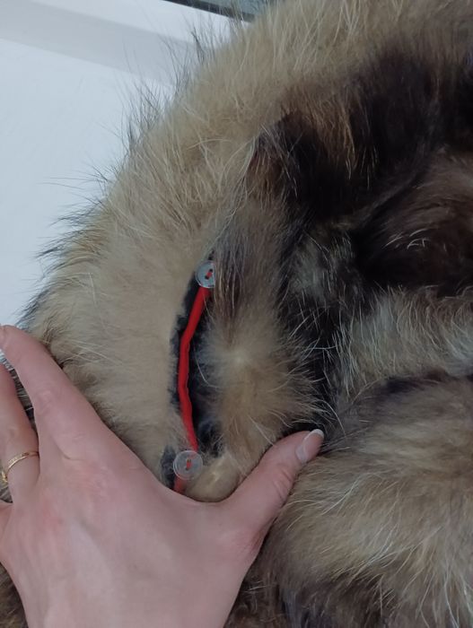 Парка натуральная