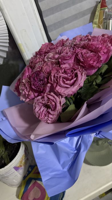 Цветы живые не дорогг