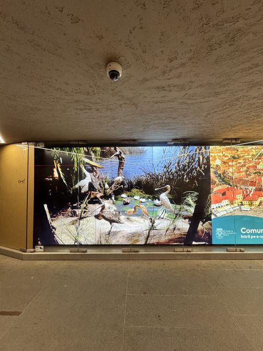 Vand 9x ecrane Samsung  panou publicitar