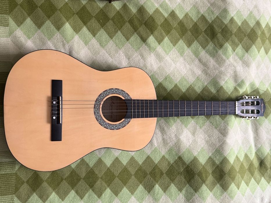 Гитара Agnetha без одной струны