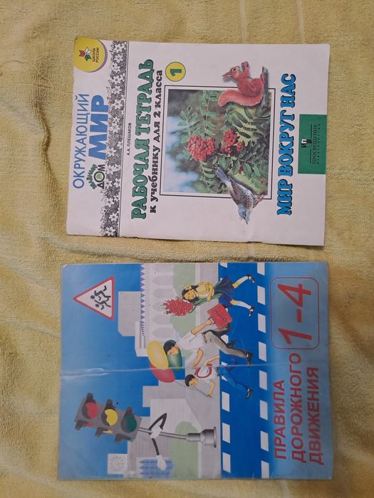 Школьные учебники и вспомогательная литература