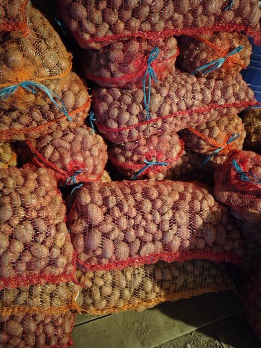 De vinzare cartofi și morcovi animale