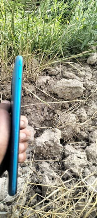 Iphone 6 yoki 6s ga dap bor