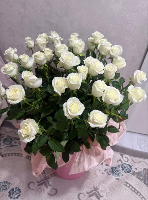 цветы, белые розы