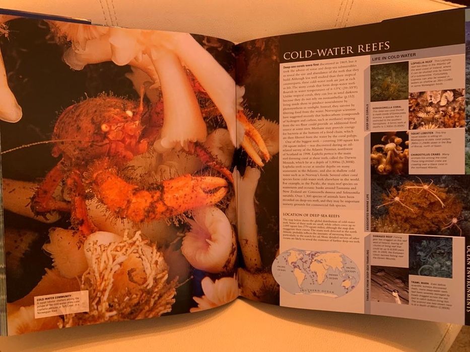 Enciclopedie scolara album  Ocean/ Oceane  editura DK