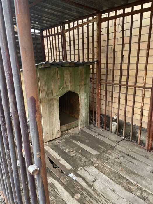 Вольер для собаки