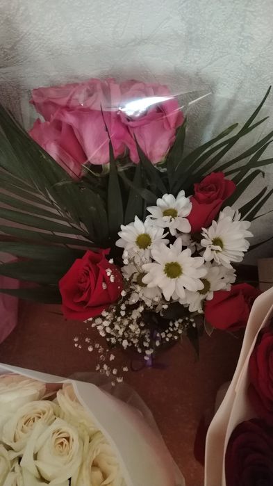 Продам живые цветы