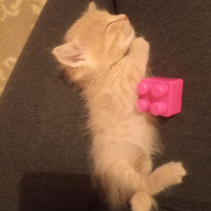 Малыш мальчик  1 месяц