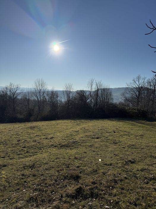 Teren de vanzare 10 000 mp