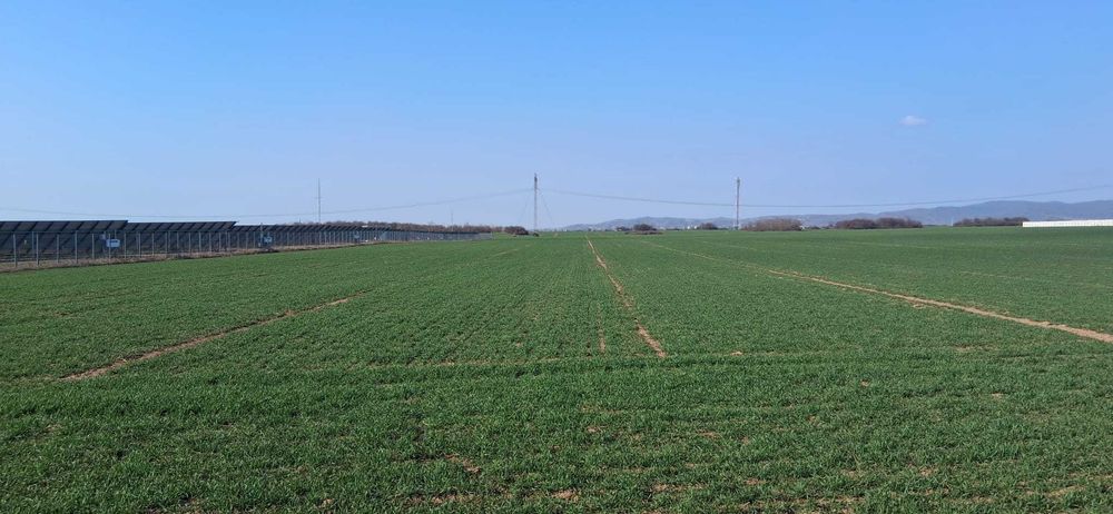 Teren intravilan 1.667 mp zona industriala , zona Targ Baicoi