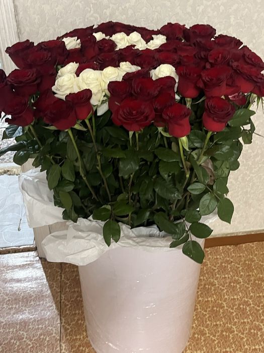 Продам 101 розу метровые