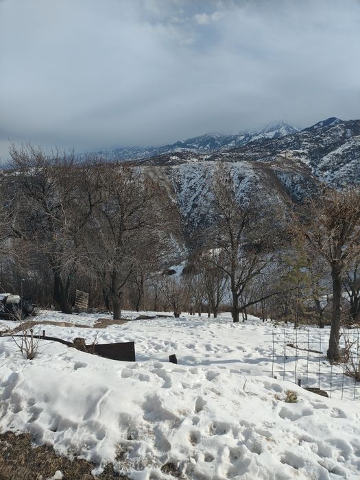 Продам дачу в живописном месте