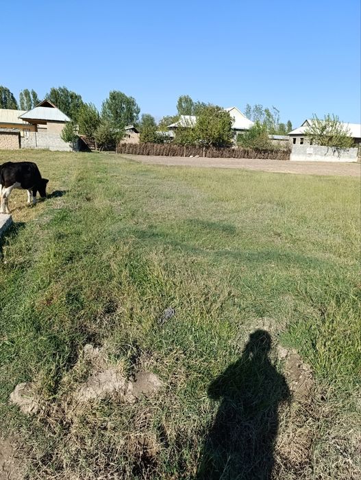 Yer Sotiladi 16sotiq