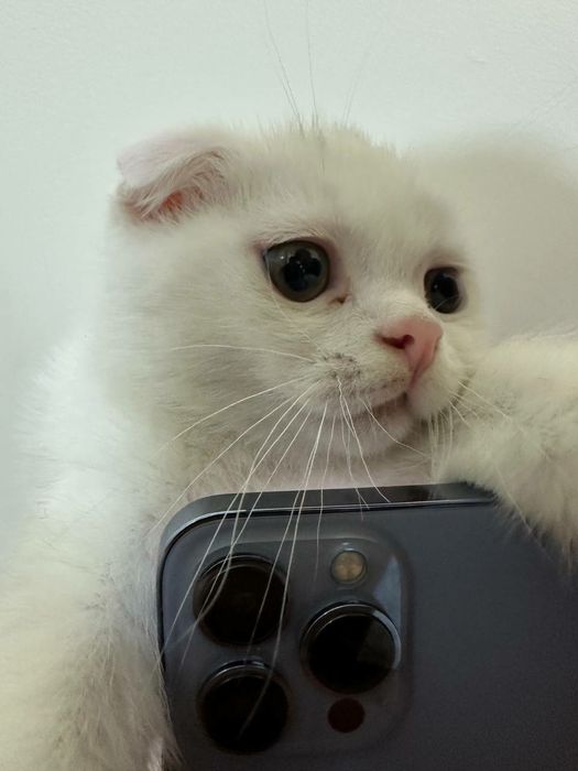 Звоните всё обсудим