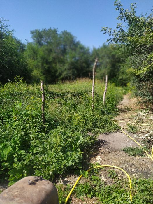 СРОЧНО! Продается дом.