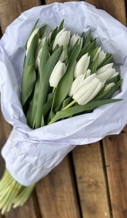 Оптом тюльпан