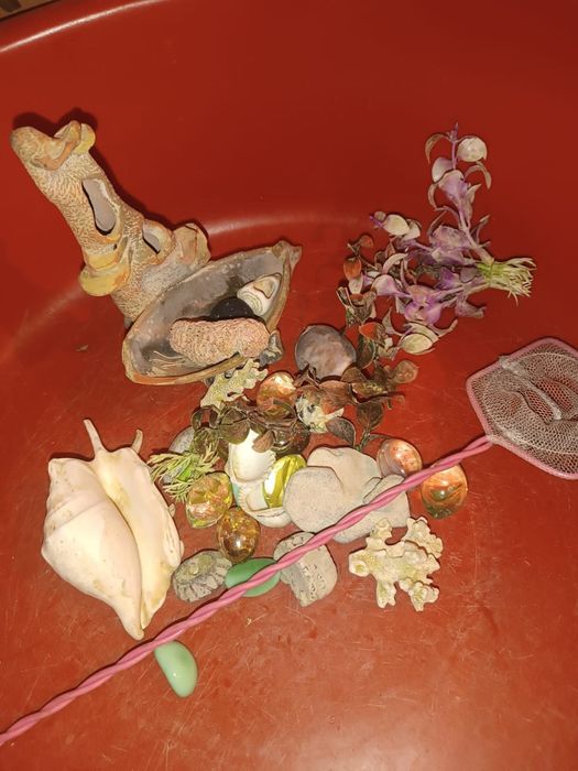 Шар для хомяка, предметы для аквариума.