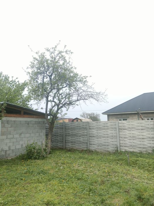 Дача, за Талгаром , ниже автобазы