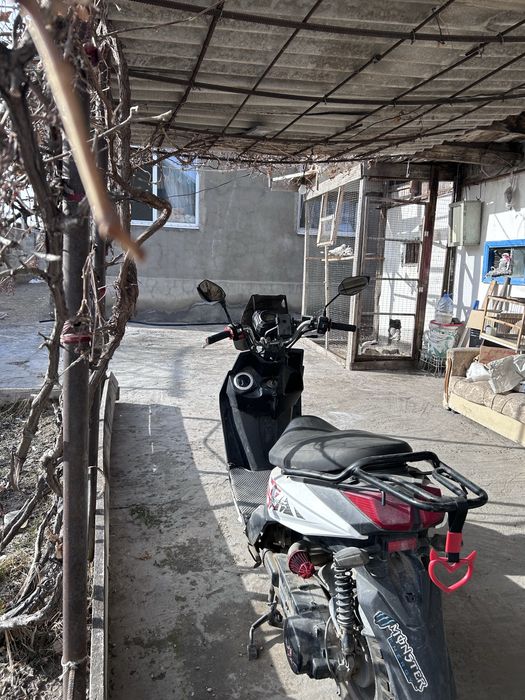 Самурай 180 кубов