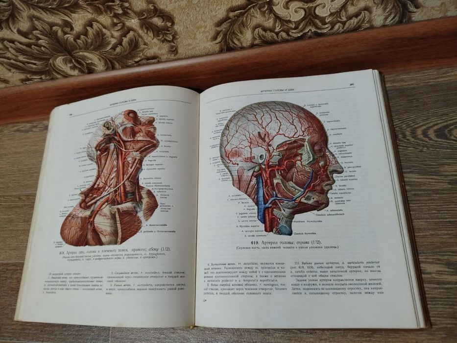 Атлас анатомии человека.   Р. Д . Синельников.