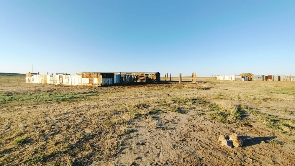 Продам хозяйства