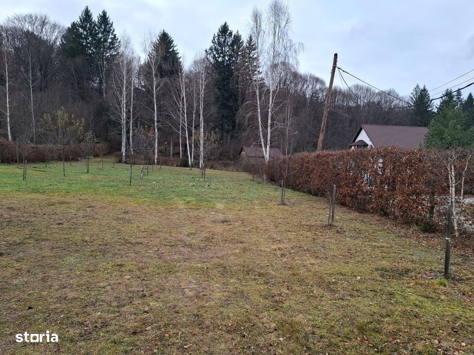 Teren 2000 mp, intravilan, langa padure,  pe Valea Avrigului-Sibiu