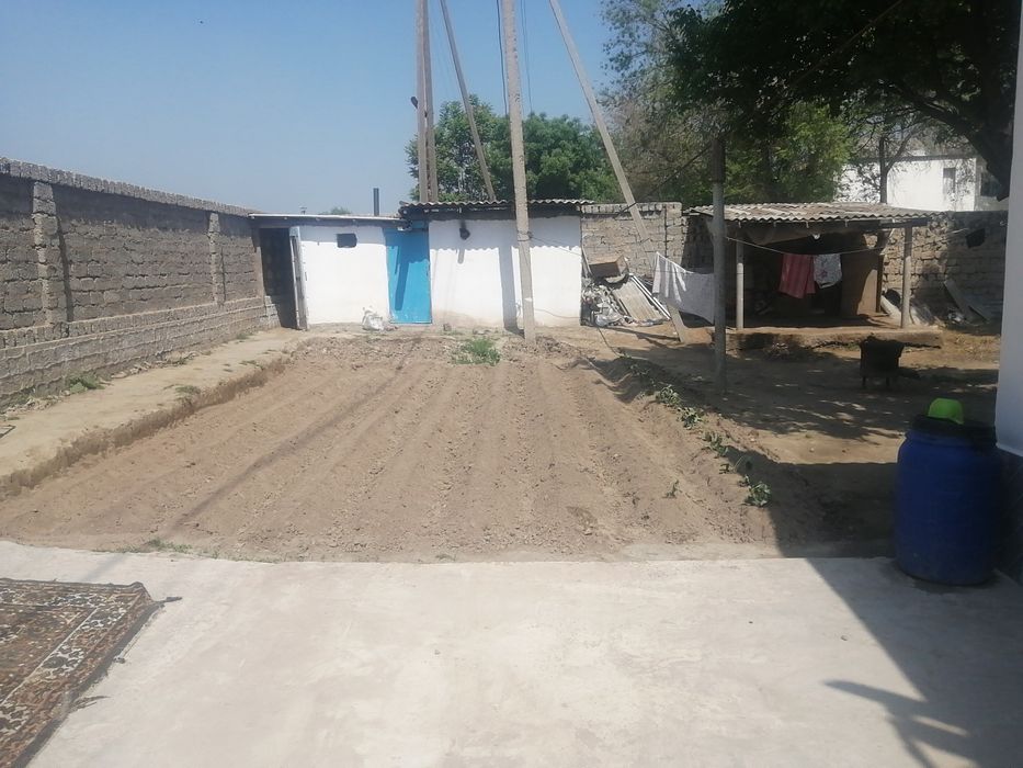 Sirdaryo tumani. Sholikor MFY. Maktab yonida.