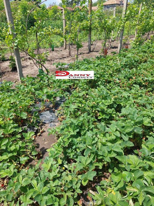 Двуетажна къща за продажба в с. Патреш - общ. Павликени