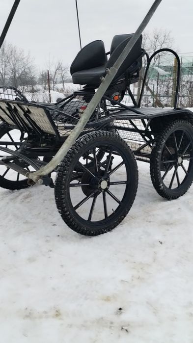 Trăsură maraton de 1 cal