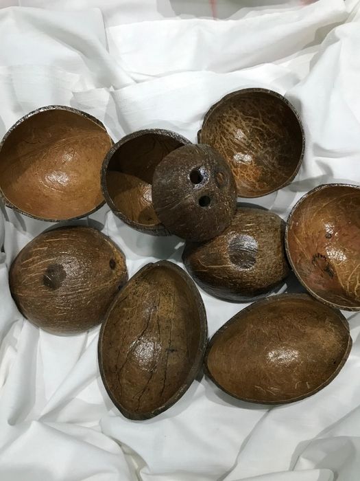 Продам лакированные половинки кокосов