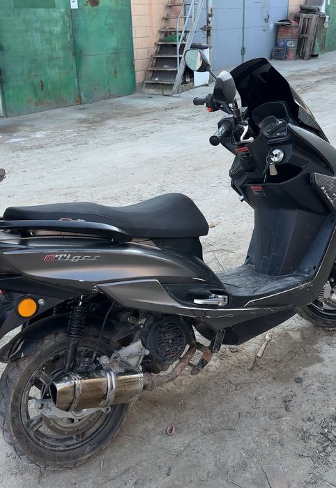 Мапет JST 2024..