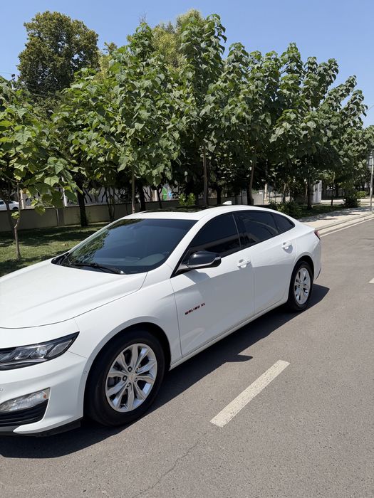 Malibu XL 2023 tozza