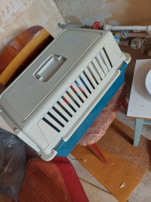 Cusca transport animale companie -150 lei