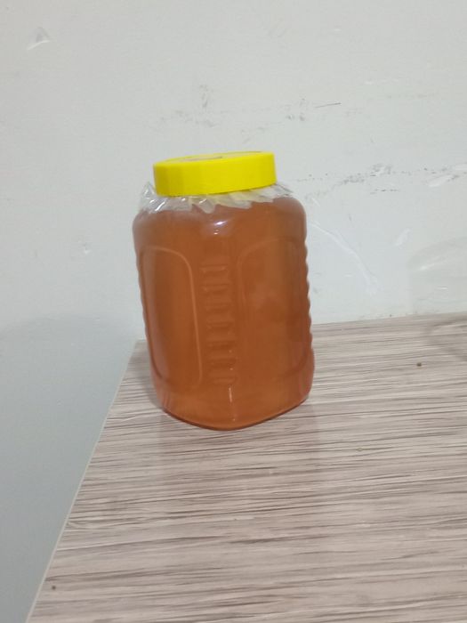 Asall 100 %garantiya