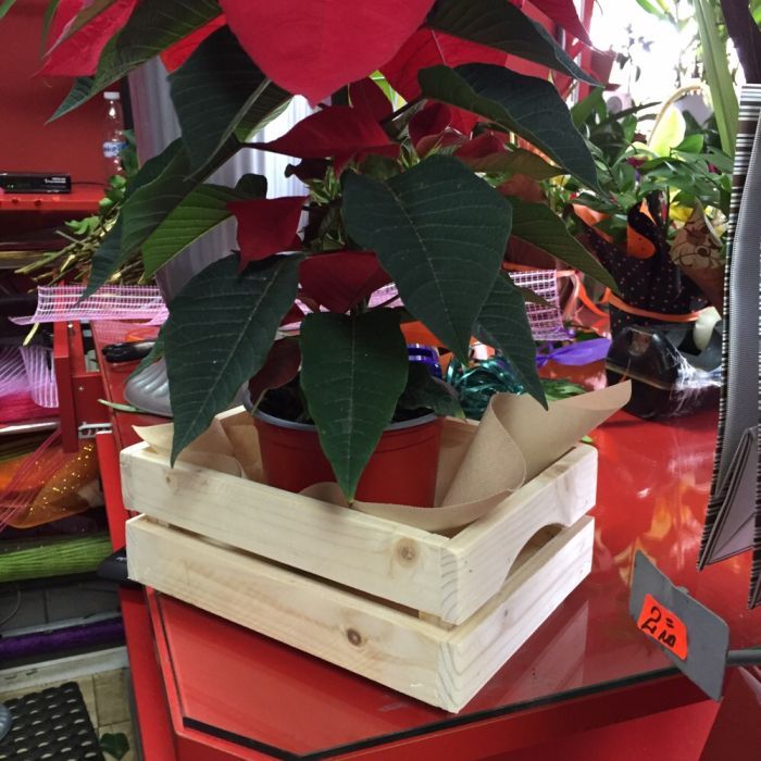 Мини декоративни щайги