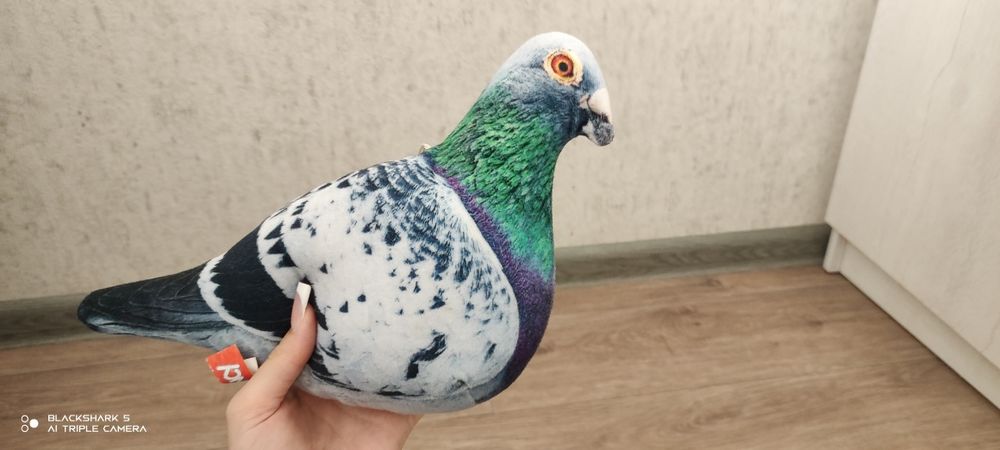 Игрушки мягкие разных размеров