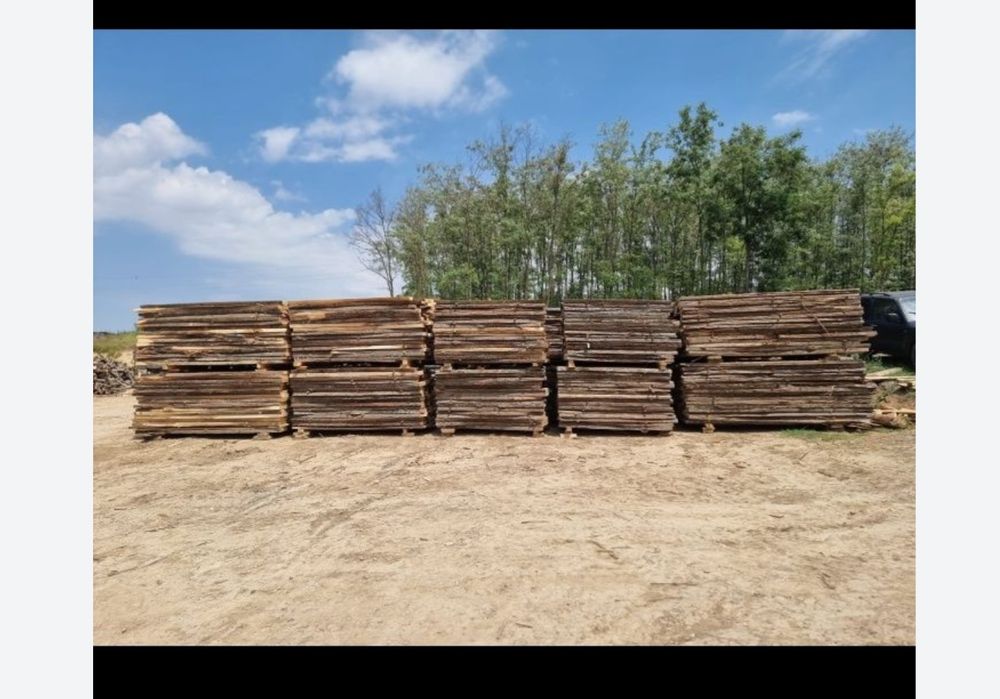 Cherestea TEI,STEJAR,FRASIN jud.Tulcea