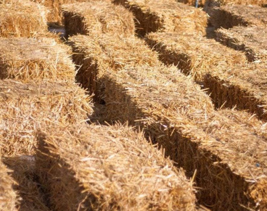 Baloti de paie mici de vanzare